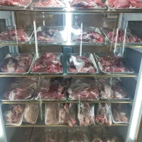 مغازه برای اجاره ، گوشت و مرغ، پروتئینی،قصابی