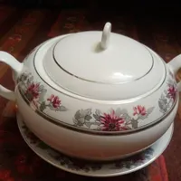 ظروف چینی زرین|ظروف سرو و پذیرایی|اصفهان, بهارستان|دیوار