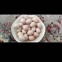 تخم مرغ کردی