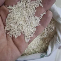 برنج هندی ۱/۵۹۰/۰۰۰ت