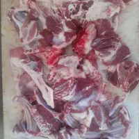 ریز و دروشت بره کوهستان باقصاب در کرج