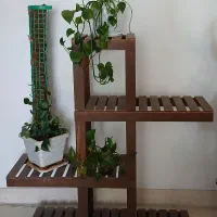 استند چوبی