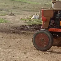 معاوضه گوسفند با تراکتور