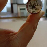 انگشتر شجر زنده رکاب ممد بی نظیر