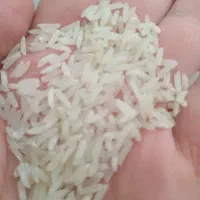 برنج محلی صفری