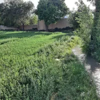 زمین-1161-متر-سند-تک-برگ-سهم-آب-سد
