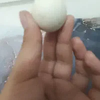 تیله