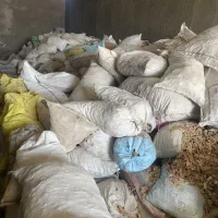 نان خشک و تمیز