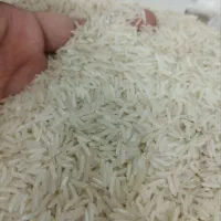 برنج فجرسوزنی