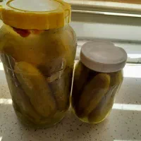 خیار شور خوشمزه وتازه قلمی