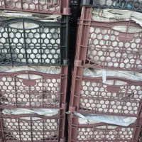 استخدام راننده با ماشین