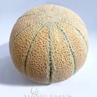 طالبی درجه یک نوبر شیرین