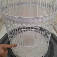 قفس پرنده