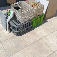 سبد میوه و گوشت و...