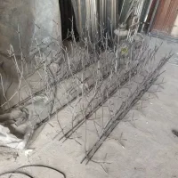 نرده دیواری خاری و بوته ای