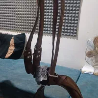هیکلی سایز بذرگ