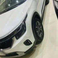 کیا سلتوس