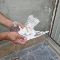 کبوتر ناب