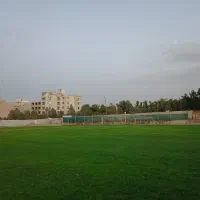 چمن طبیعی رولی