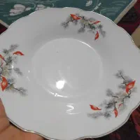 بشقاب چینی
