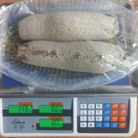 عسل وحشی سرشاخه درخت کُنار