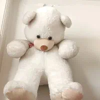 خرس شاسخین