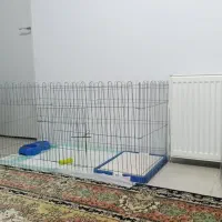 وسایل سگ