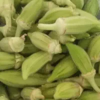 بامیه مهران