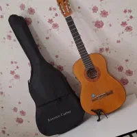 گیتار همراه با کاور و کاپو و پیک