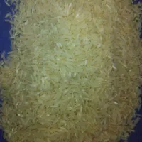 فروش برنج شمیم هاشمی و ماش ارتشی بذر بو جاری شده