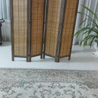 پاراوان