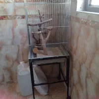 قفسه پرنده  با پایه