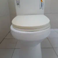سنگ فرنگی