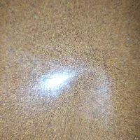 خاک شیر|ظروف نگهدارنده، پلاستیکی، یک‌بارمصرف|ابهر, |دیوار