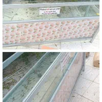 ویترین و رگال و اتاق پرو