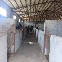 همکاری در باشگاه اسب سواری