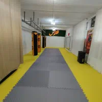باشگاه ققنـوس