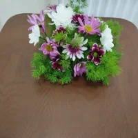 گل طبیعی|گل مصنوعی|مشهد, امیریه|دیوار