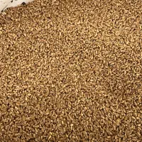 خریدار گندم و جو