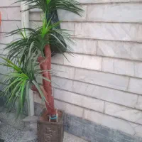 گل وگلدان