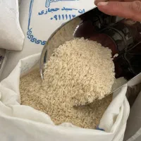 برنج عطری شمال درجه یک کشت دوم