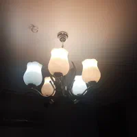 ۴ عدد لوستر شاخه دار