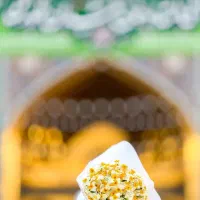 رزرو تور زیارتی مشهد مقدس ویژه فروردین ماه