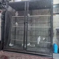 قفس پرنده و کبوتر و سایر حیوانات