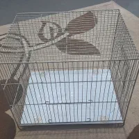 قفس پرنده