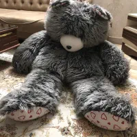خرس شاسخین بزرگ