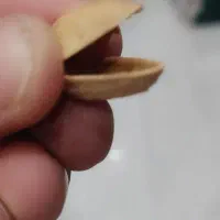 بادام  تلخ کوهی