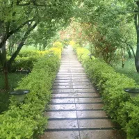 لوکس ترین واحد منطقه
