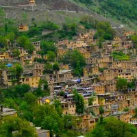 فروش مرغ و غاز