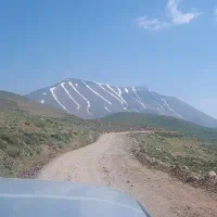 باغ مردق چای راهنمایی